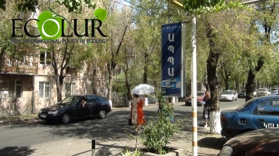 Կոմիտասի պողոտայի ծառերը չորանում են