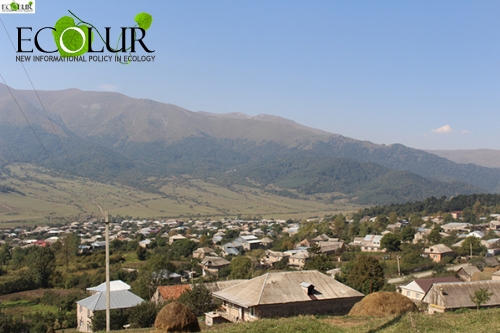 «Անտառը շատ լավ վիճակում է, իսկ մենք շատ վատ». փայտի կարիքը անտառամերձ Մարգահովիտում