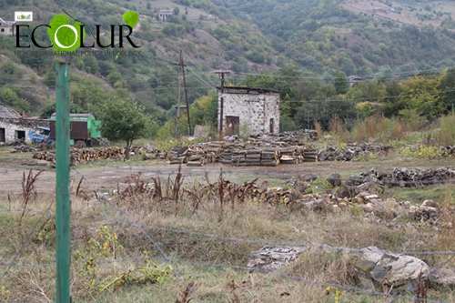 Teghut Forest Intensively Cut Down, Reforestation Works Failed (Photos)