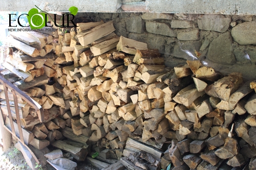 Armenia Uses 2 Million m3 Fuel Wood?