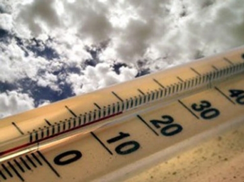 5 Day Weather Forecast