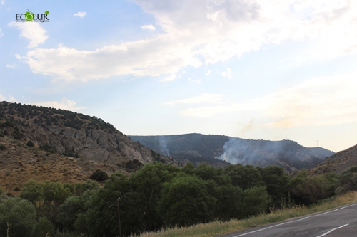Fire in Vayots Dzor Isolated, No Further Hazard of Its Spread