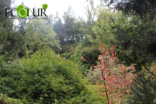 Transfer of Specifically Protected Areas of Nature To Committee Has No Professional Substantiation