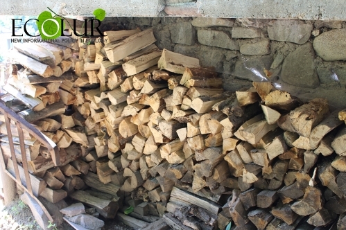 Обсуждались возможности импорта древесины из России в Армению