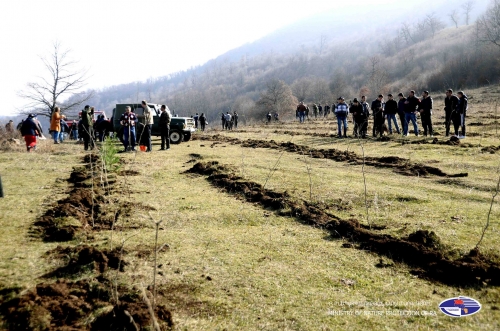One Month of Pan-Armenian Tree Planting Launched