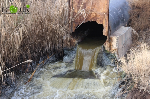 Alarm Signal from Armavir: Sewage Filling into Armavir Canal Creating Antisanitary State
