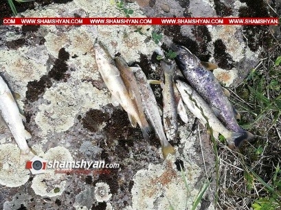 SOS Dzoraget: Armanis Gold Mine Wastes Dumped into River
