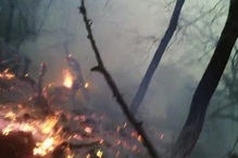 «Իջևանի անտառտնտեսության» տարածքում այրվում են մոտ 1 հա բուսածածկույթ և ծառեր