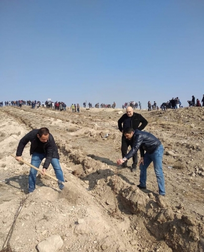 Officials and Residents Planted Over 600 Trees in Area of Non-Operating Mine Area