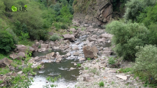 Министерство окружающей среды должно отказать в предоставлении водного разрешения  компании "Лорва Амроц" для строительства малых ГЭС