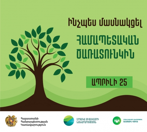 25 апреля в Армении будет посажено около 300 тысяч деревьев