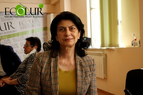 «В Армении необходимо немедленно провести инвентаризацию лесов: мы не знаем, что у нас есть»: эколог-юрист Назели Варданян