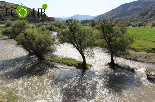 Армения осуществит мониторинг в верхних течениях водосборного бассейна источников, снабжающих водой реки Арпа и Воротан в Карвачарском районе