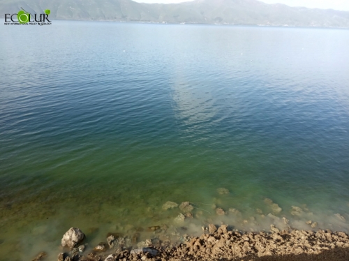 Intensification of Lake Sevan Blooming Expected