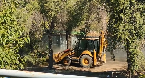 Ահազանգ. «Ռատկո» ՍՊԸ-ն տապալել է Ֆիզգորոդոկի ծառերը, ոստիկանությունը կանգնեցրել է ընկերության աշխատանքը