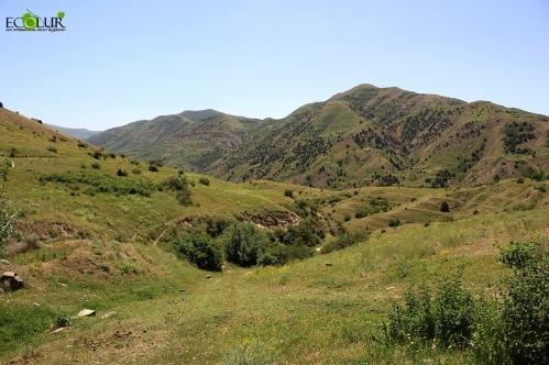 Сегодня в Армении отмечают День особо охраняемых территорий природы