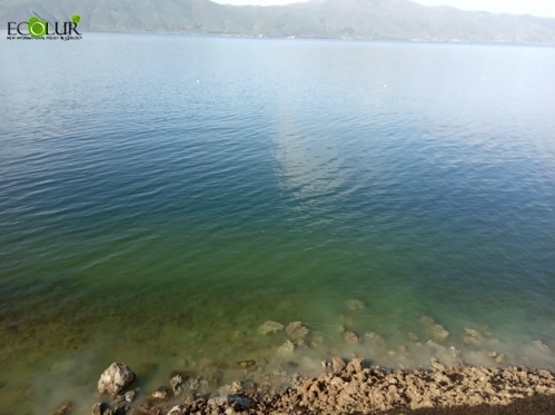 Токсичное цветение озера Севан - говорят ученые