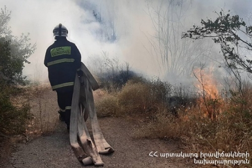 Around 8000 Square Meters of Grass Cover Burnt Down Because of Fire in Botanical Garden