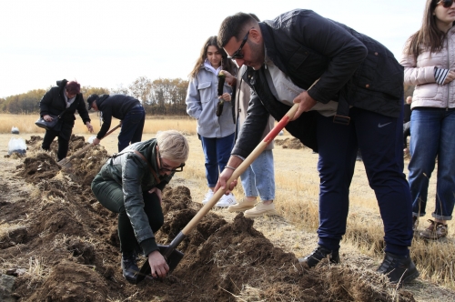 Համապետական ծառատունկի շրջանակում Հայաստանում տնկվեց 451 հազար տնկանյութ