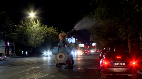 Tree Treatment Implemented At Night In Yerevan