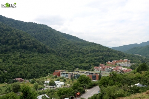 Area Surrounding Dilijan National Park to Be Nominated as a UNESCO Biosphere Reserve Candidate