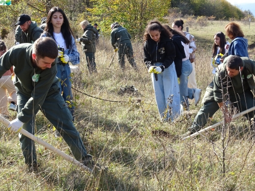 Around 200 Trees Planted in Dilijan National Park