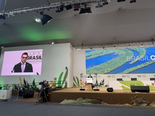 Statement by Deputy Foreign Minister of Armenia Robert Abisoghomonyan at the COP30 Leaders’ Summit