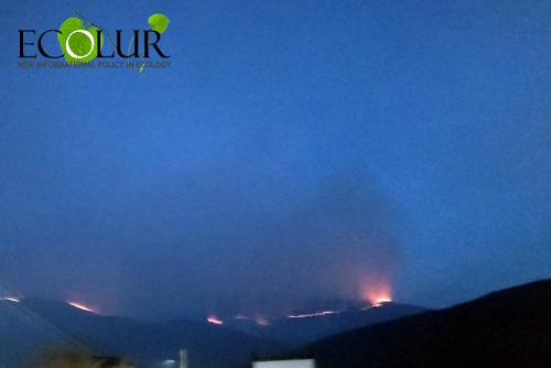 Firefighting efforts continue in the Dilijan forests