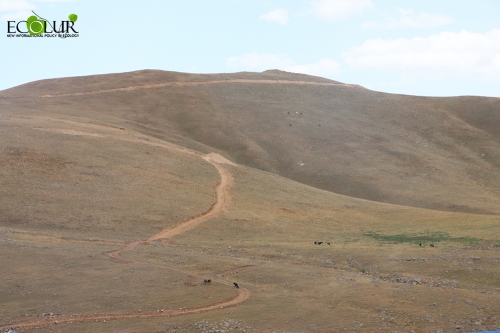 Առանց հանրային լսումների Եղեգիս ավագանին նիստ կանցկացնի «Մենդիա ռեսուրսիս» ՍՊԸ-ի առաջարկով