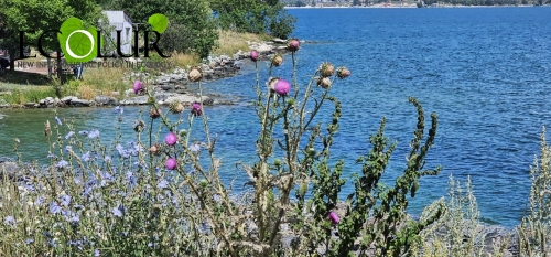 COP 17-ին ընդառաջ Հայաստանը հրապարակել է Կենսաբազմազանության պահպանության իր նպատակներն ու թիրախները