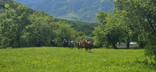 Հայաստանը թիրախ է սահմանել ապահովել երկրի ցամաքային և քաղցրահամ ջրային էկոհամակարգերի 20%-ի արդյունավետ պահպանումը