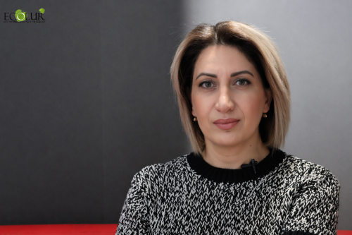 Ինչպես է բիզնես ոլորտը պատրաստվում ԱԸՊ համակարգի ներդրմանը Հայաստանում՝ ներկայացնում է բիզնես խորհրդատու Սիլվա Մեսրոպյանը