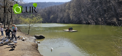 ԲՀՊՏ-ի նոր տեսակ, նոր կարգավորումներ՝ COP 17-ին ընդառաջ Հայաստանը թարմացնում է իր բնապահպանական օրենսդրությունը