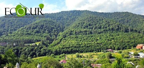 «Հիմա` hանուն կլիմայի» կոչով հունիսի 5-ին նշվում է Շրջակա միջավայրի համաշխարհային օրը