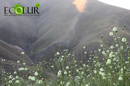 Օդի ջերմաստիճանը կբարձրանա 5-7 աստիճանով