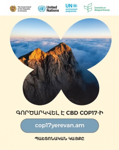Գործարկվել է COP17-ի պաշտոնական կայքը
