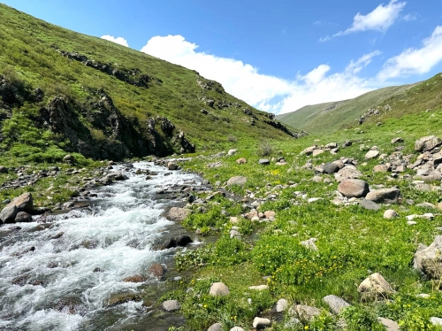 Սևանա լիճը սնուցող գետերի աղտոտվածությունը՝ բնապահպանական նոր ծրագրի թիրախում․ FPAN