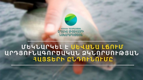 Սևանա լճում սիգի արդյունագործական որսի թույլատրելի չափաքանակը կարող է ավելանալ 720 տոննայով
