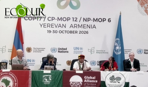 Ավելի քան 80 կազմակերպություն COP17-ում կոչ է անում զերծ պահել պահպանվող տարածքները արդյունահանող արդյունաբերությունից