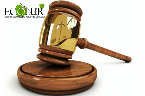 «Լիդիան Արմենիան» ութ ամիս անց փոփոխեց Նազելի Վարդանյանի դեմ հայցի հիմքը․ միջազգային կառույցները դատական գործընթացում SLAPP-ի հատկանիշներ են տեսնում