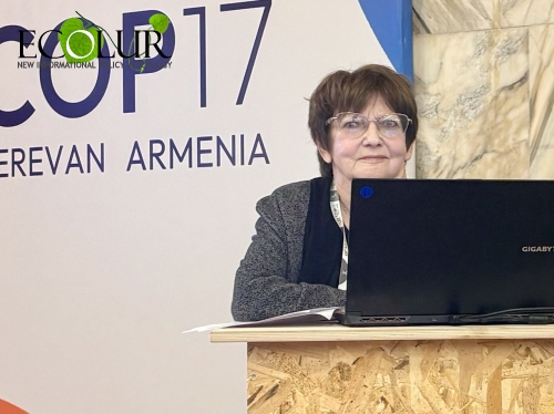 Проблемы Амулсара и национального парка «Арпи Лич» в повестке дня COP17